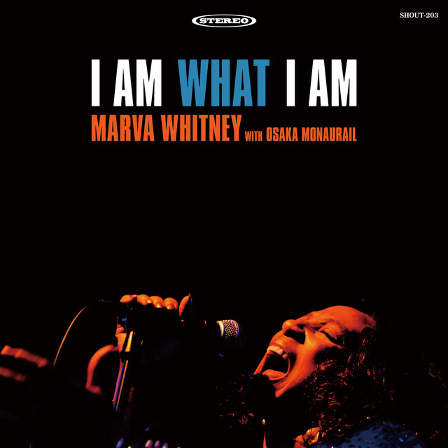 I Am What I Am album cover