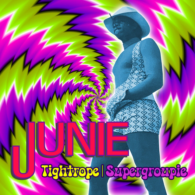 Moog Minimoog Model D as heard on Tightrope; Supergroupie (Live) by Junie Morrison (2023)