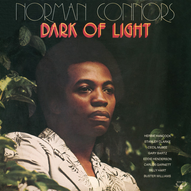 Dark of Light album cover