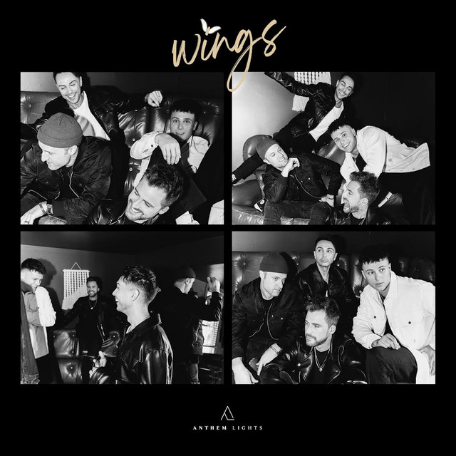 Wings album cover