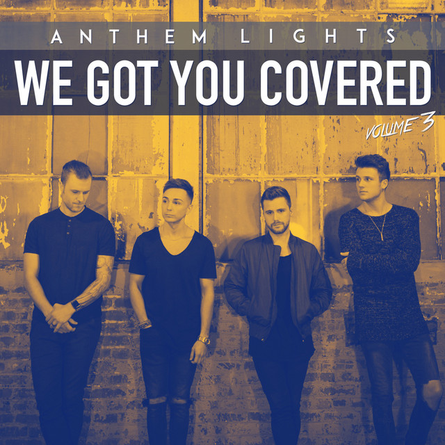 We Got You Covered, Vol. 3 album cover