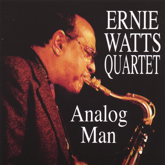Analog Man album cover