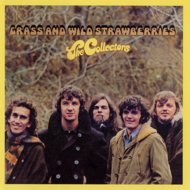 Grass And Wild Strawberries album cover