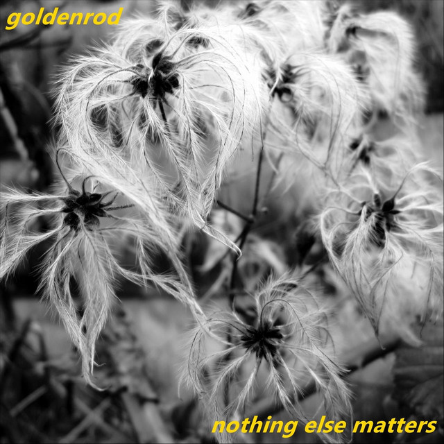 Nothing Else Matters album cover