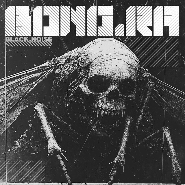 Black Noise album cover