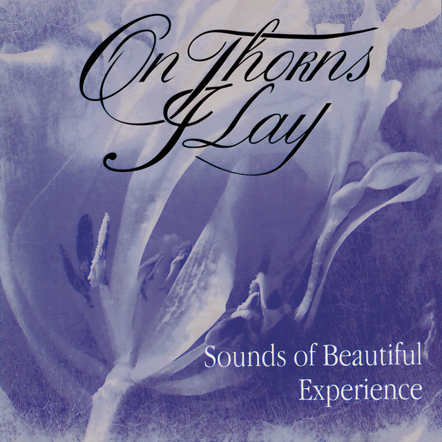 Sounds of Beautiful Experience album cover