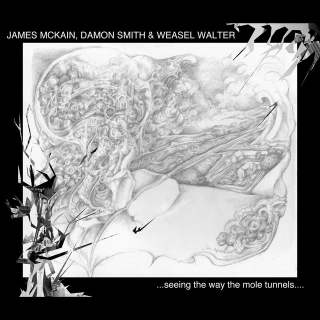 Seeing the way the Mole tunnels.. album cover