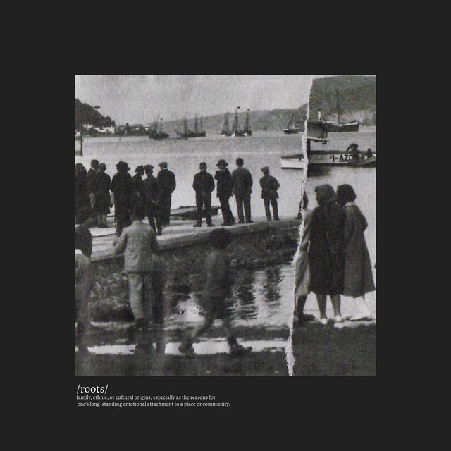 Roots album cover