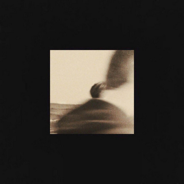 Not to Disappear album cover