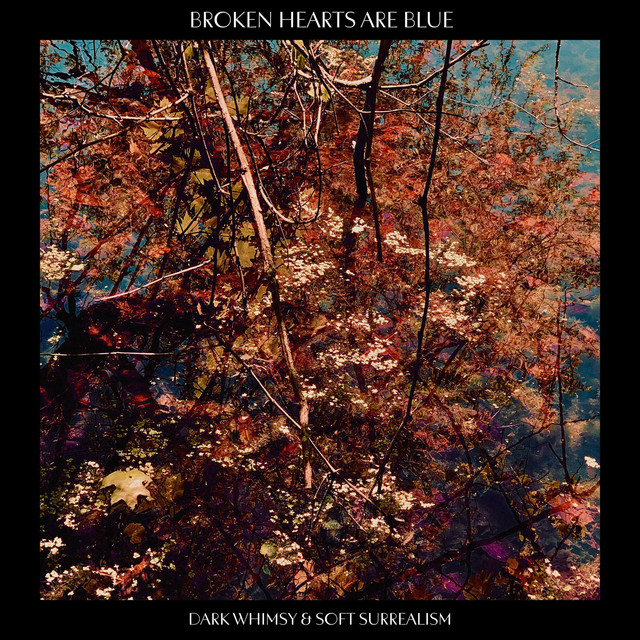 Dark Whimsy and Soft Surrealism album cover