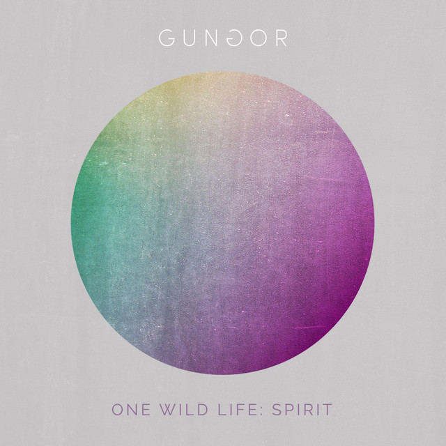 One Wild Life: Spirit album cover