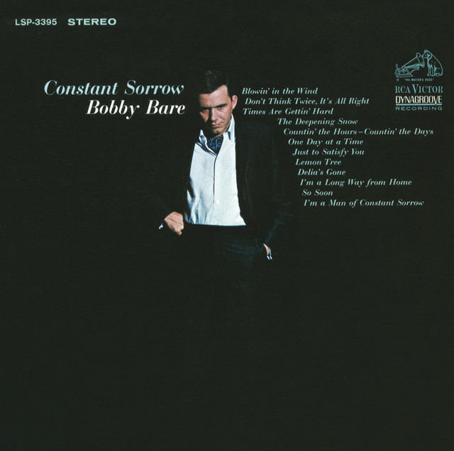 Constant Sorrow album cover