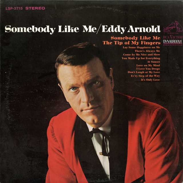 Somebody Like Me album cover