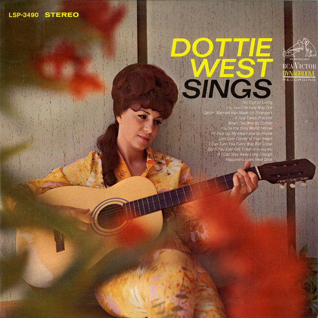 Sings album cover
