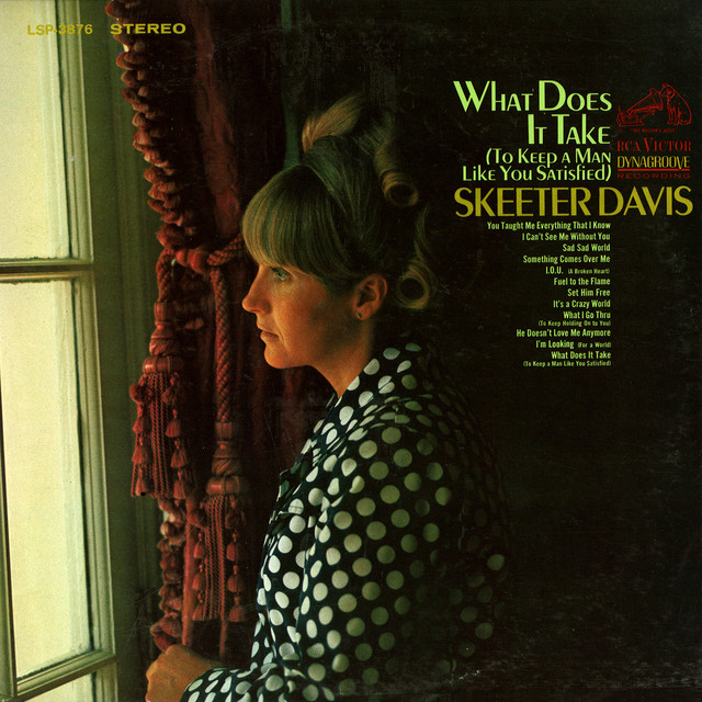 What Does It Take (To Keep a Man Like You Satisfied) album cover