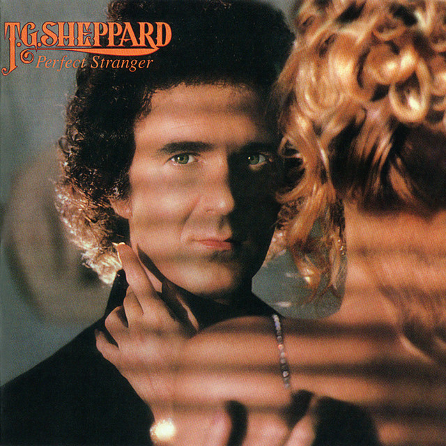 Perfect Stranger album cover