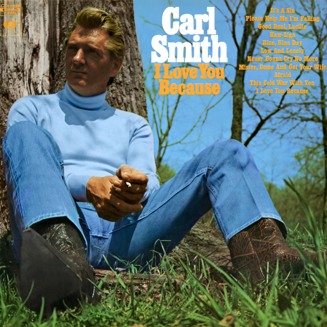 I Love You Because album cover