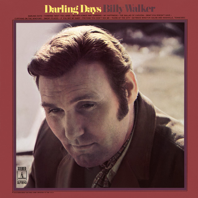 Darling Days album cover
