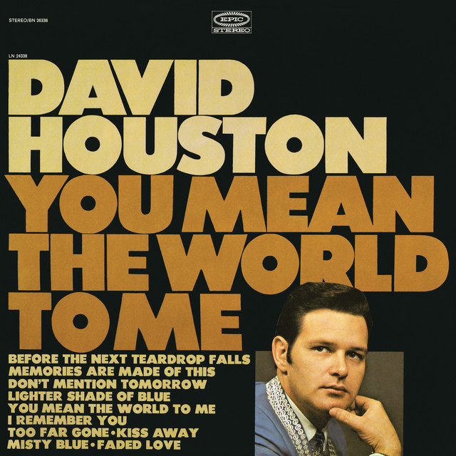 You Mean the World to Me album cover