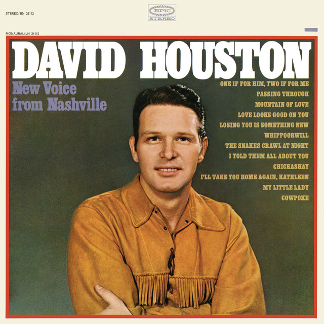 New Voice from Nashville album cover