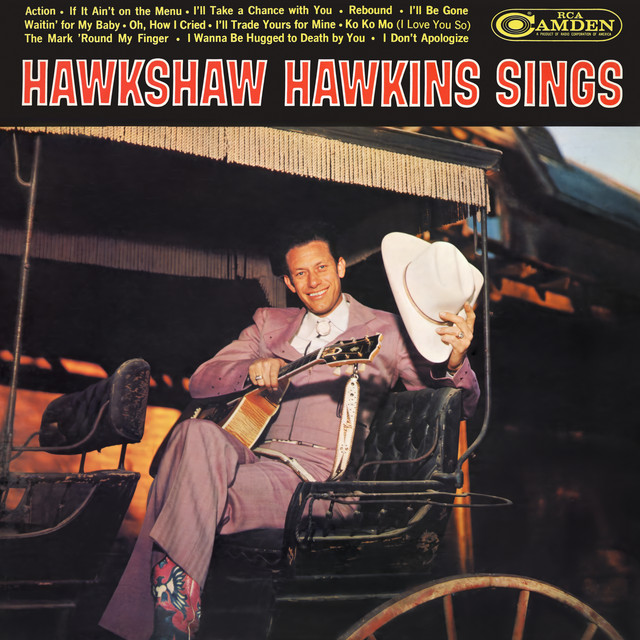 Sings album cover