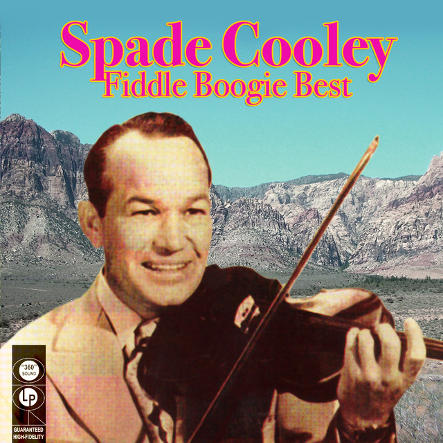 Fiddle Boogie Best album cover