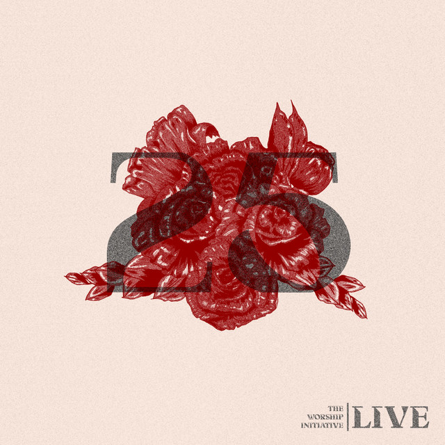 The Worship Initiative, Vol. 25 (Live) album cover