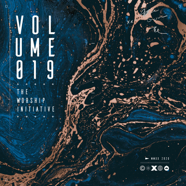 The Worship Initiative, Vol. 19 album cover