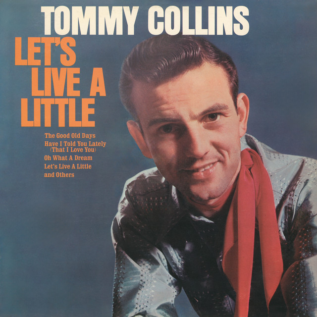 Let's Live A Little album cover