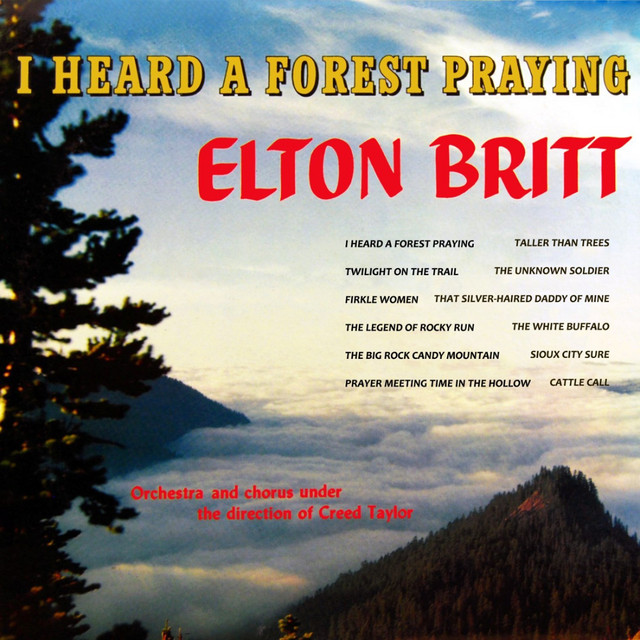 I Heard A Forest Praying album cover