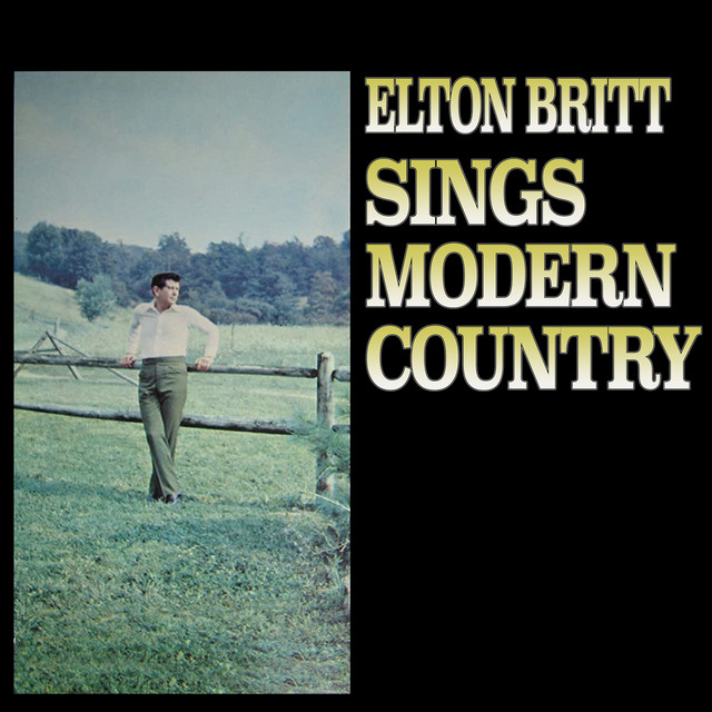 Sings Modern Country album cover