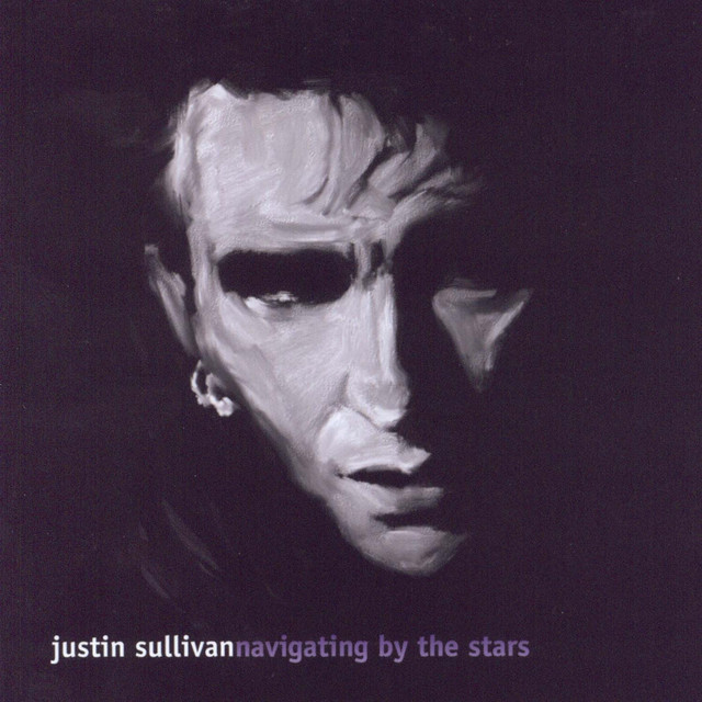Navigating By The Stars album cover