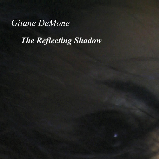The Reflecting Shadow album cover