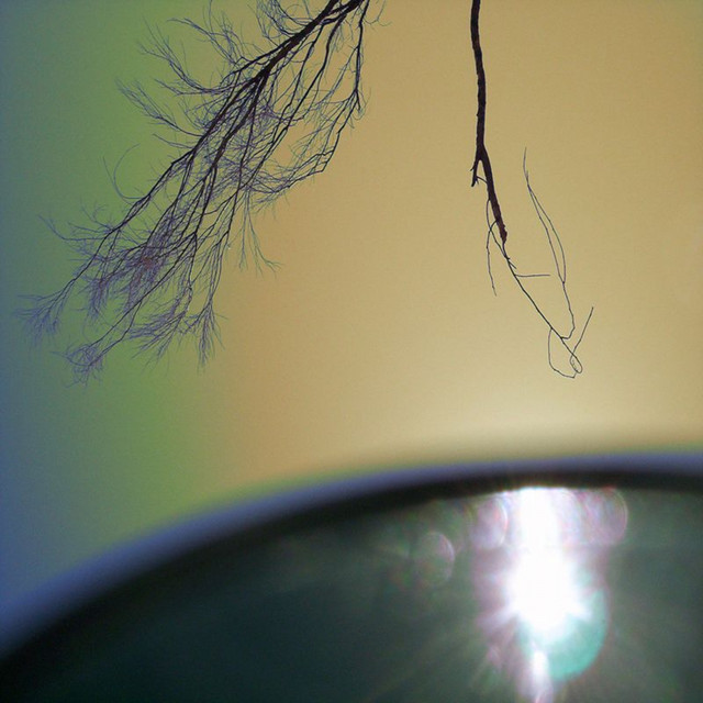 Beyond the Horizon Line album cover