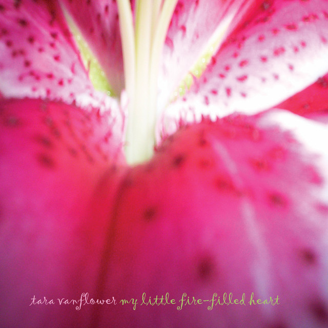 My Little Fire-Filled Heart album cover