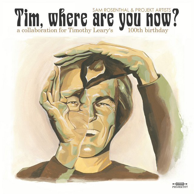 Tim, where are you now? (Timothy Leary's Centennial) album cover