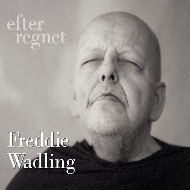 Efter regnet album cover