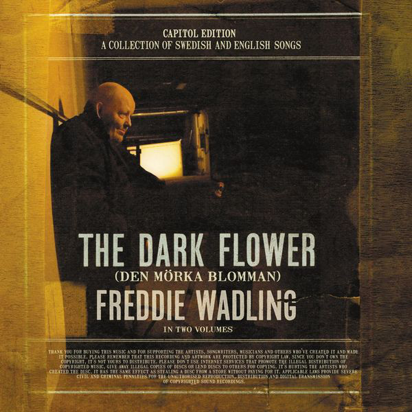 The Dark Flower (Den mörka blomman) album cover
