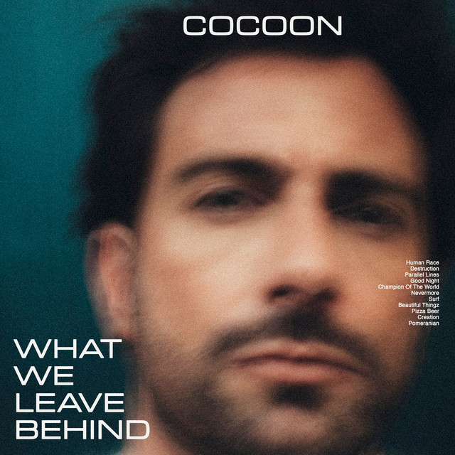 What We Leave Behind album cover
