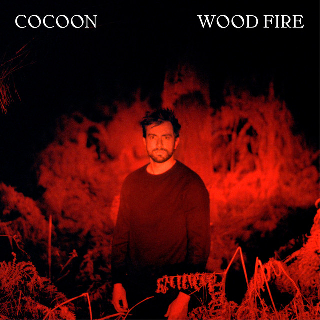 Wood Fire album cover