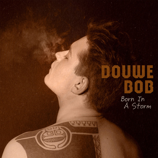 Born In A Storm album cover