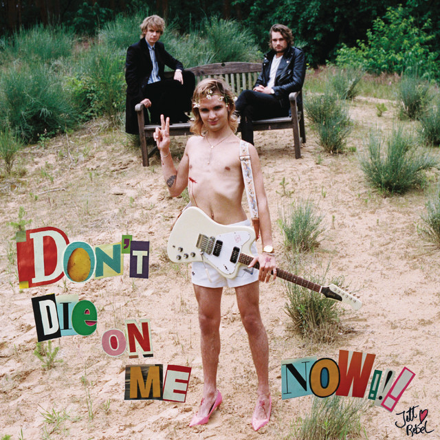 Don't Die On Me Now album cover