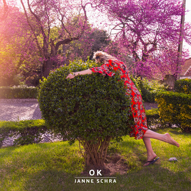 OK album cover