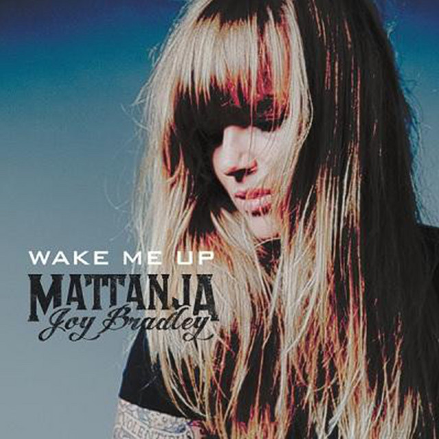 Wake Me Up album cover
