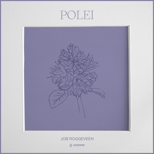 Polei album cover