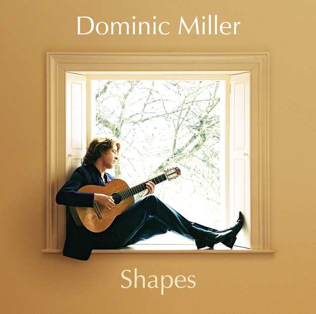 Shapes album cover