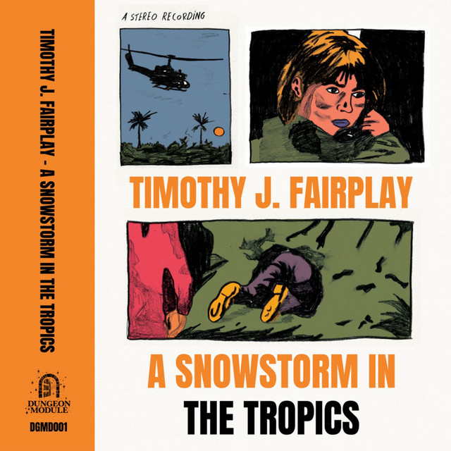 A Snowstorm In The Tropics album cover