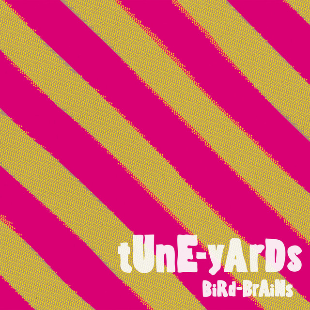 BiRd-BrAiNs album cover