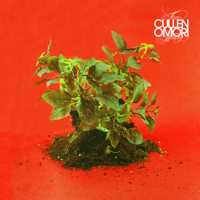 New Misery album cover
