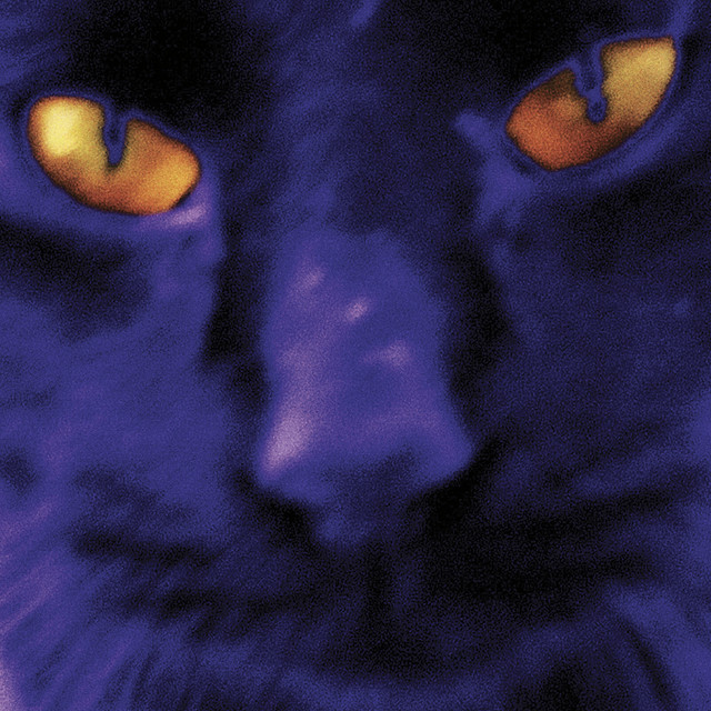 Bobbie's a girl album cover